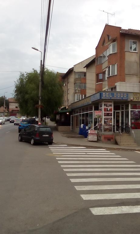 Апартаменти Garsoniera Del Dodo Алба-Юлія Екстер'єр фото